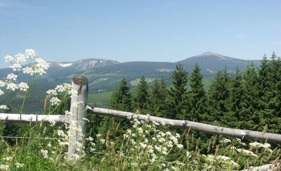 Pension & Restaurace Zeleny Mlyn Žacléř מראה חיצוני תמונה
